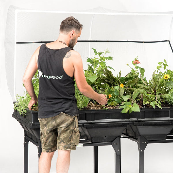 Vegepod Large Raised Garden Bed with Cover