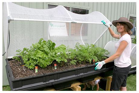 Vegepod Large Raised Garden Bed with Cover