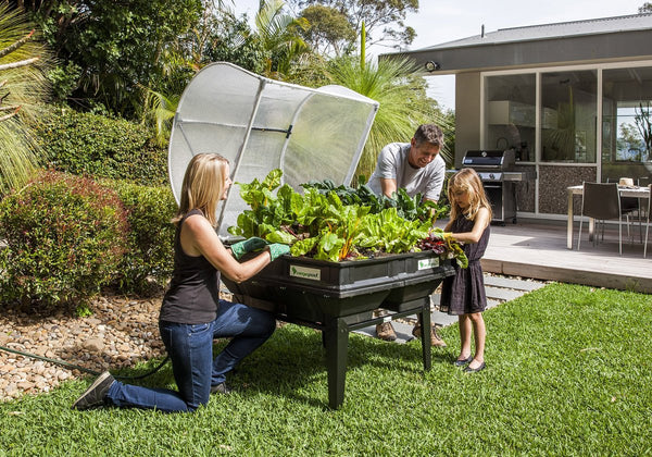 Vegepod Medium Raised Garden Bed with Cover