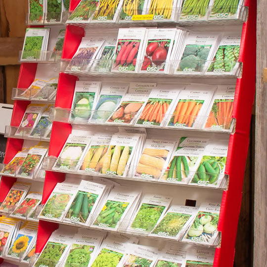 Seeds