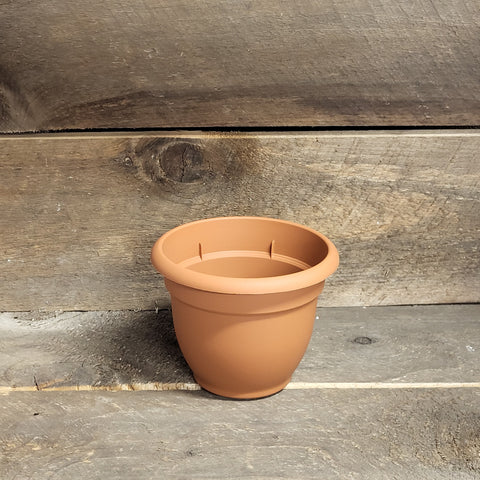 BLOEM Pot - Terra Cotta