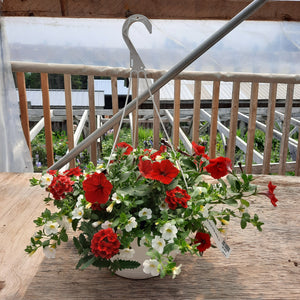 12" Hanging Basket 'Music of the Heart'