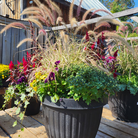 Autumn Planter - Large Round 16"