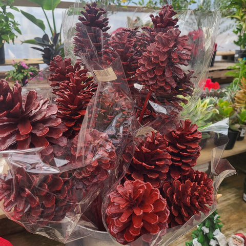 Large Pine Cones ( 6 per sleeve) Red Gloss