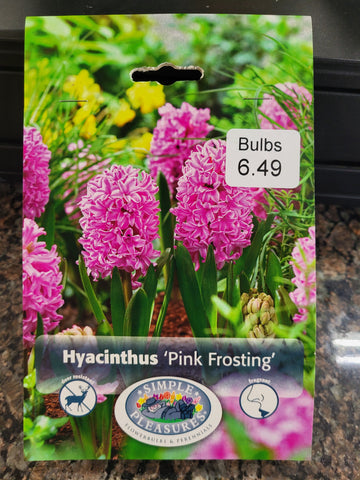 Hyacinthus 'Pink Frosting'