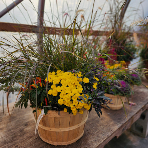 Autumn Planter - Large Bushel
