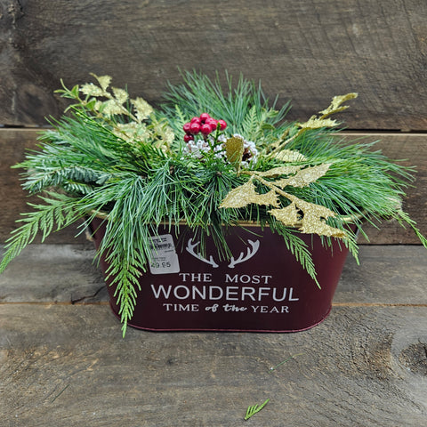 Christmas Planter-Assorted 14" Tin Oval Pot