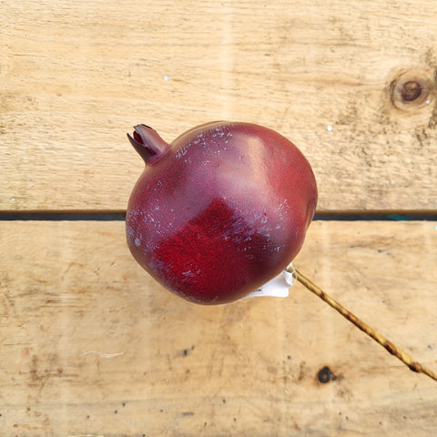 80mm Pomegranate Burgundy