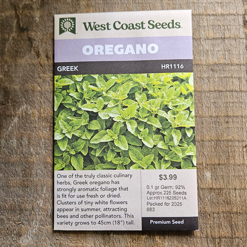 Oregano 'Greek' - West Coast Seeds