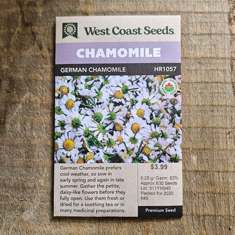 Chamomile 'German Chamomile' - West Coast Seeds