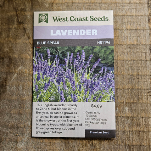Lavender 'Blue Spear'- West Coast Seeds