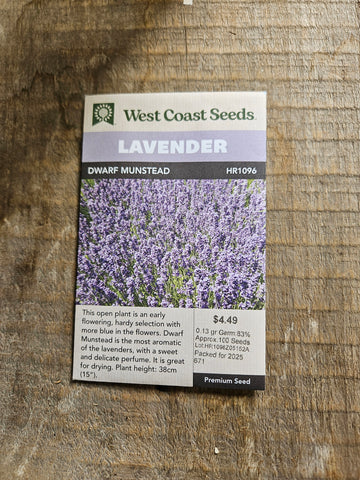Lavender 'Dwarf Munstead' - West Coast Seeds