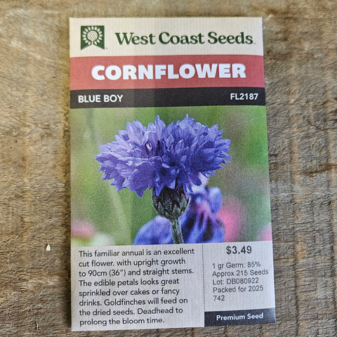 Cornflower 'Blue Boy' - West Coast Seeds