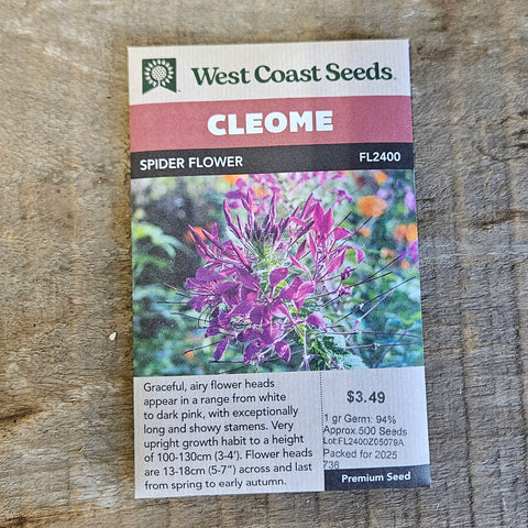 Cleome 'Spider Flower' - West Coast Seeds