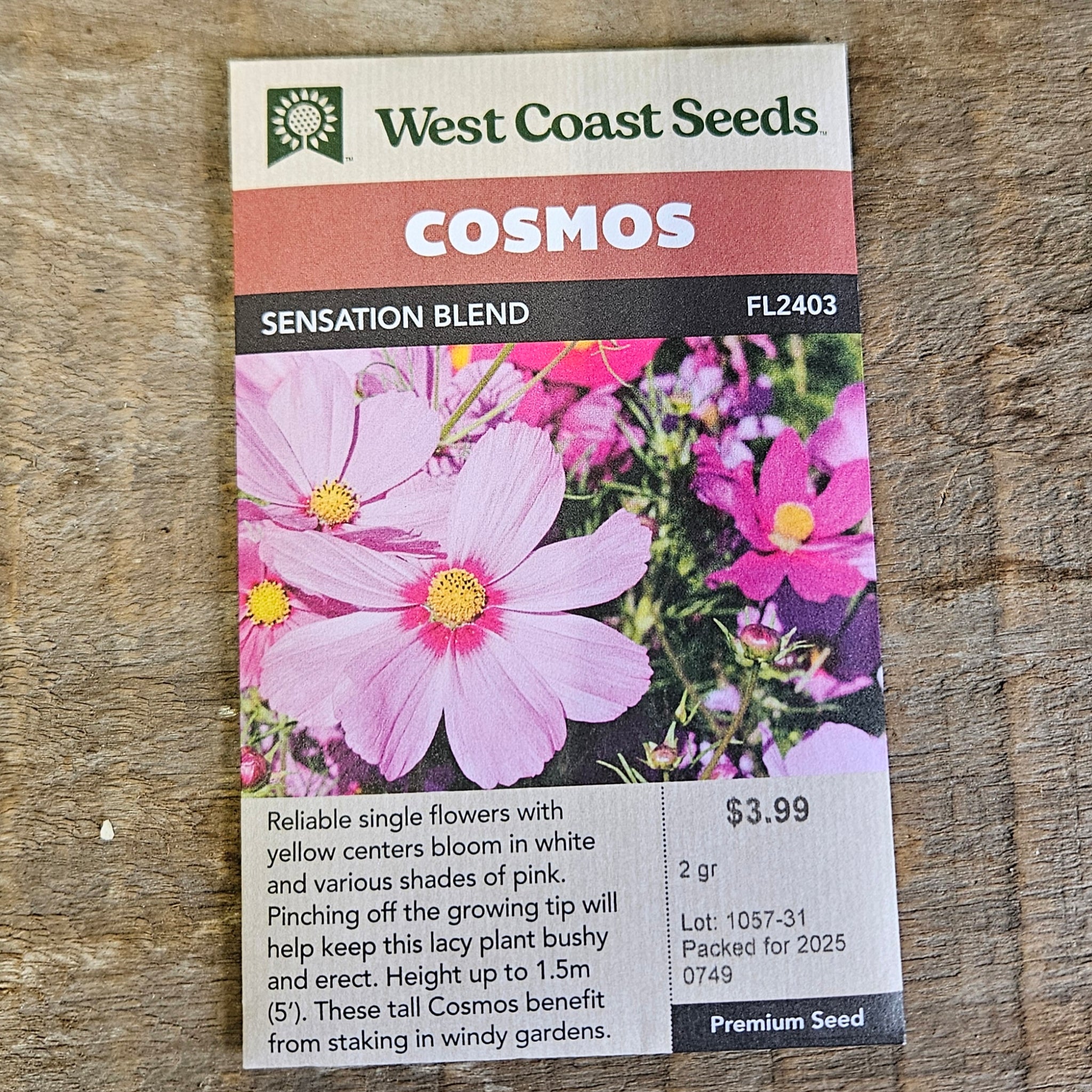 Cosmos 'Sensation Blend' - West Coast Seeds