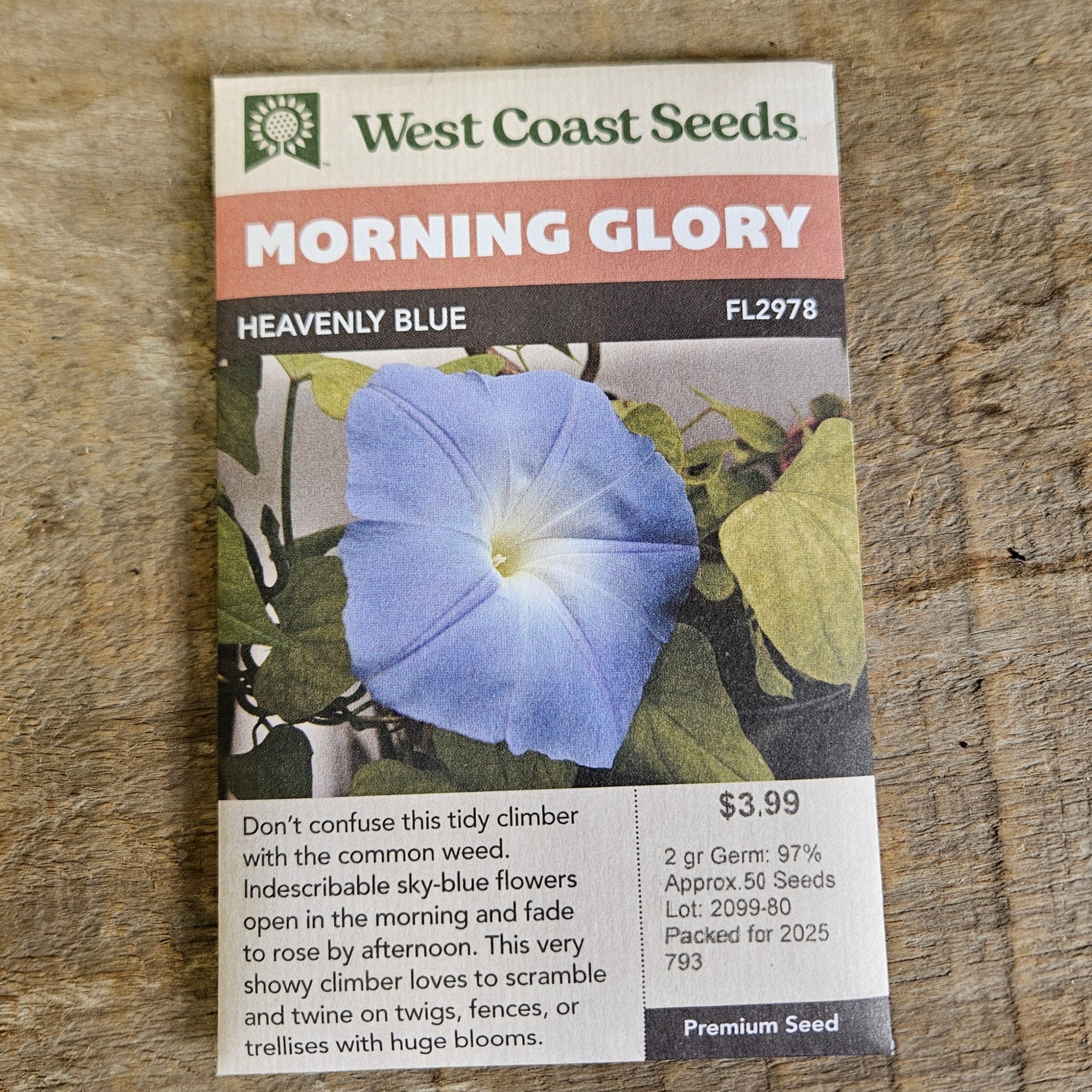 Morning Glory 'Heavenly Blue'- West Coast Seeds