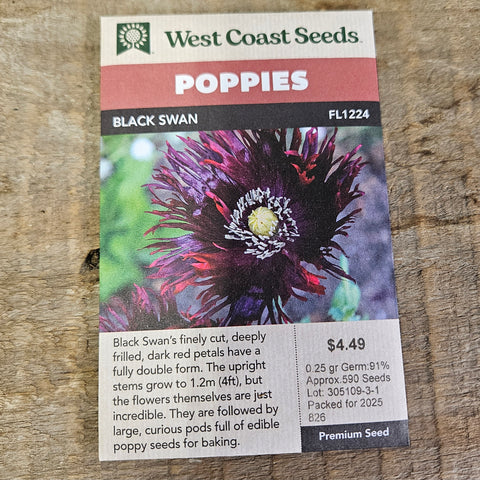 Poppies 'Black Swan' - West Coast Seeds