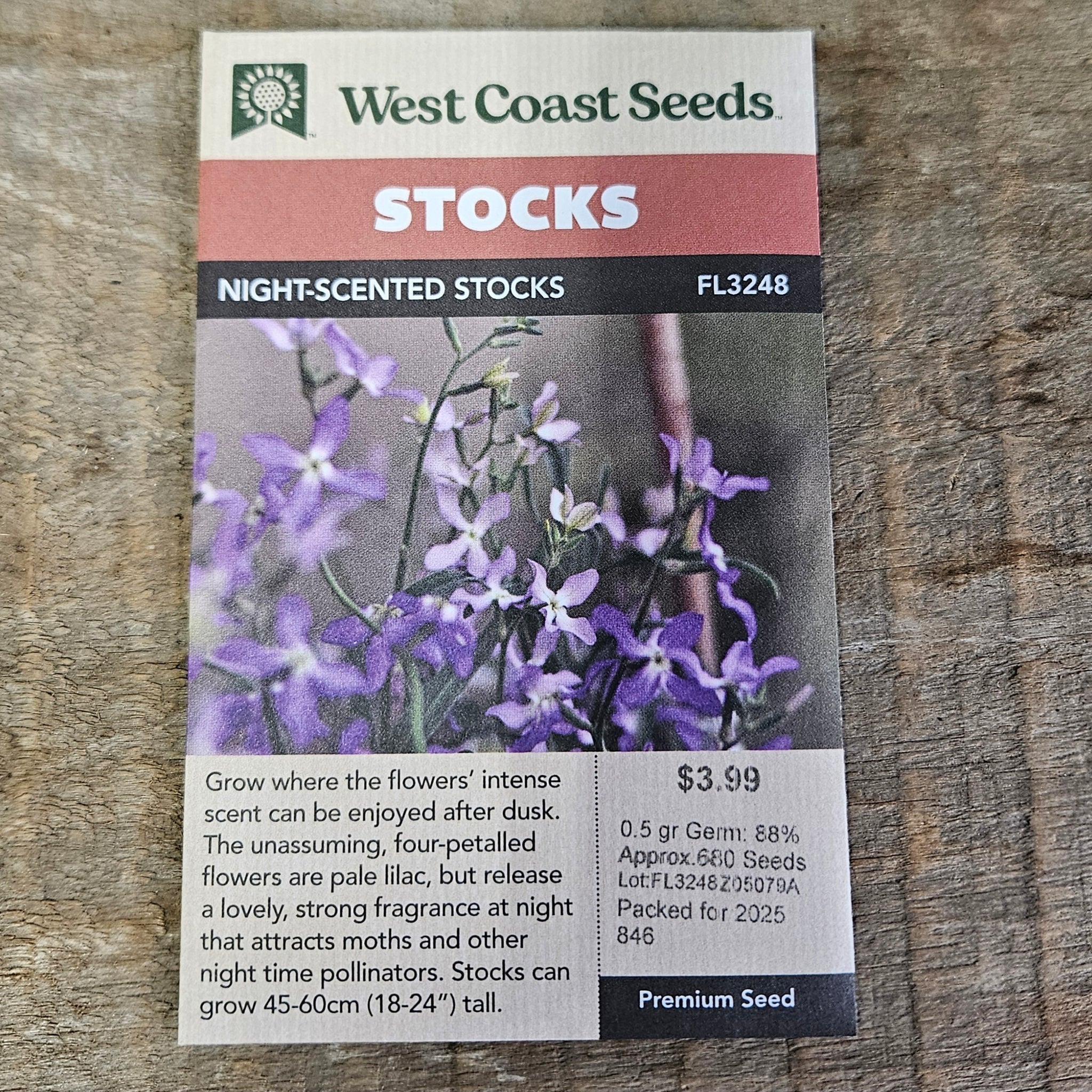 Stocks 'Night-Scented Stocks' - West Coast Seeds