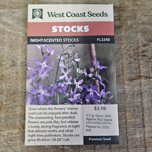Stocks 'Night-Scented Stocks' - West Coast Seeds