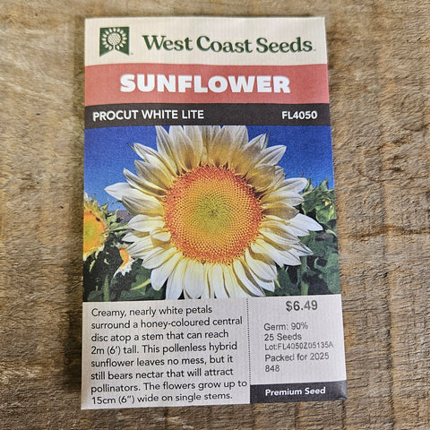 Sunflower 'Procut White Lite' - West Coast Seeds