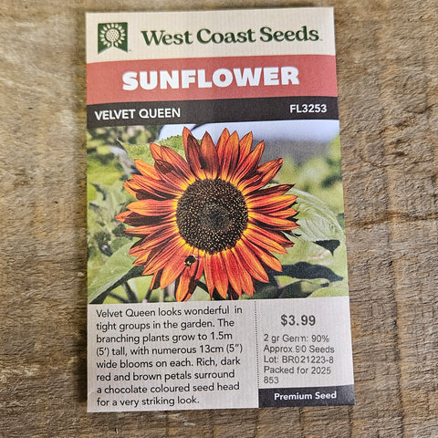 Sunflower 'Velvet Queen' - West Coast Seeds