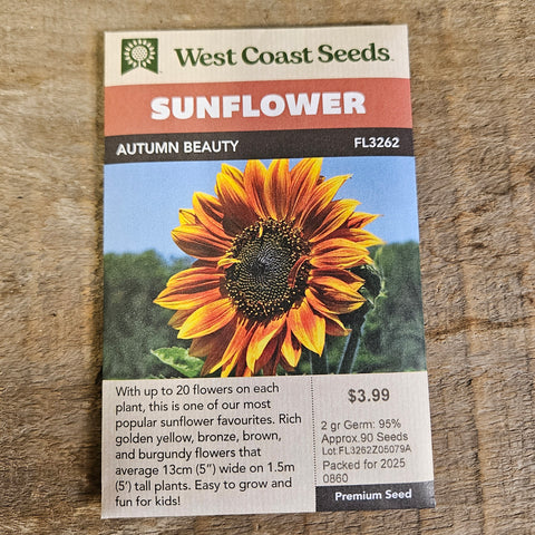 Sunflower 'Autumn Beauty' - West Coast Seeds