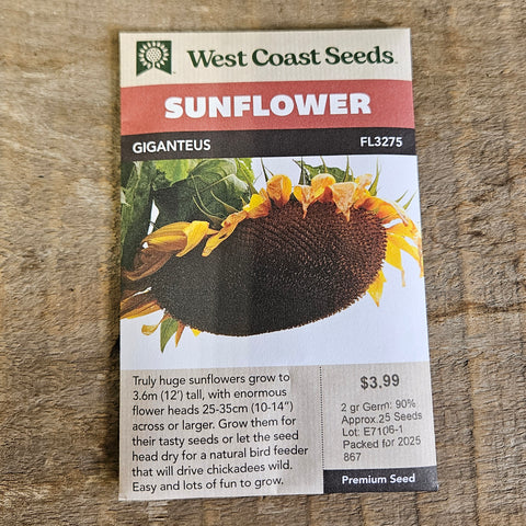 Sunflower 'Giganteus'- West Coast Seeds