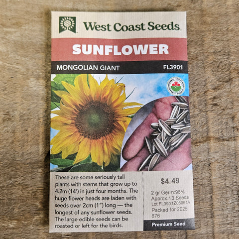 Sunflower 'Mongolian Giant' - West Coast Seeds