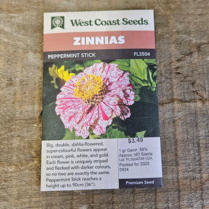 Zinnias 'Peppermint Stick' - West Coast Seeds