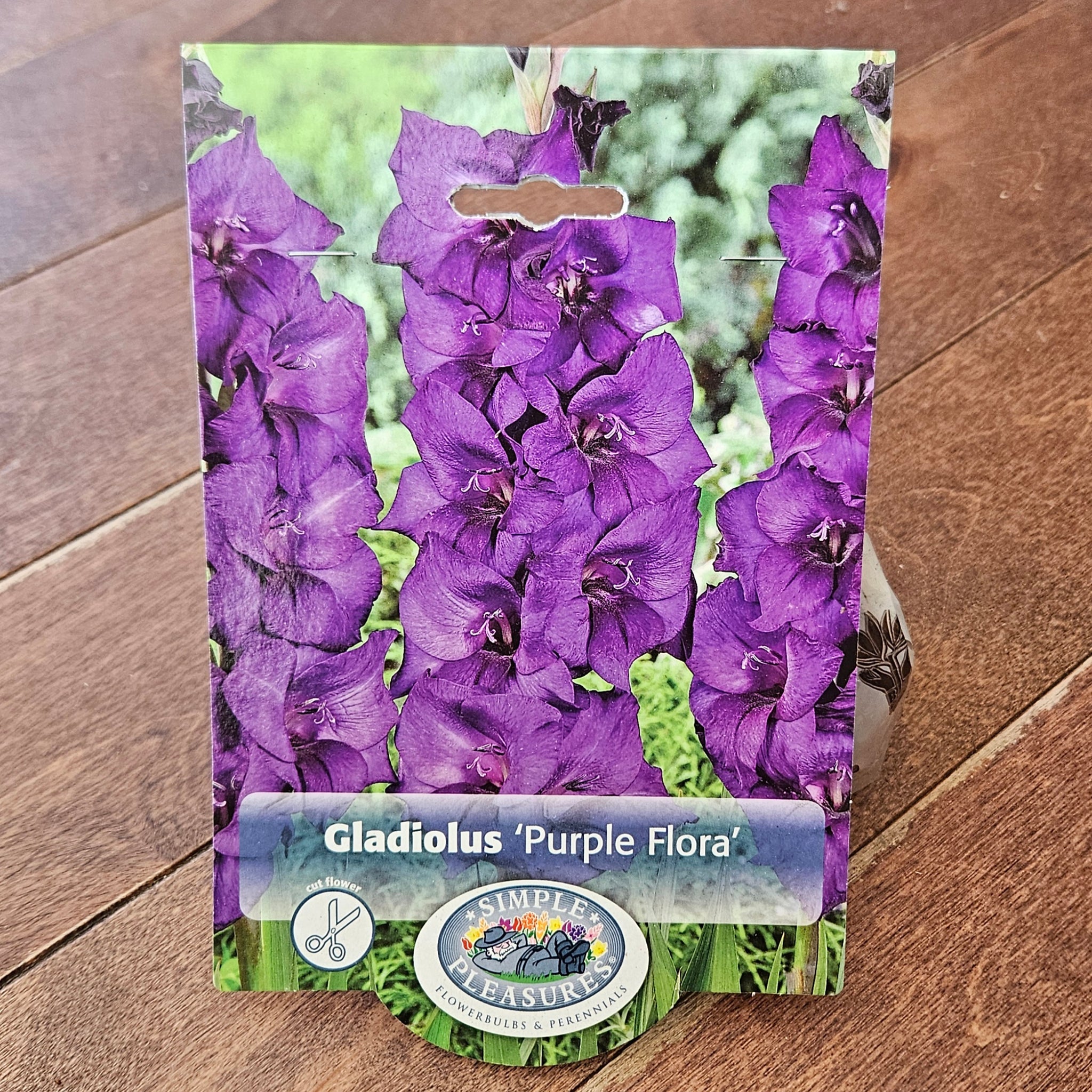 Gladiolus Bulbs 'Purple Flora'
