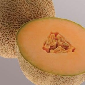 Cantaloupe 'Ball 2076'