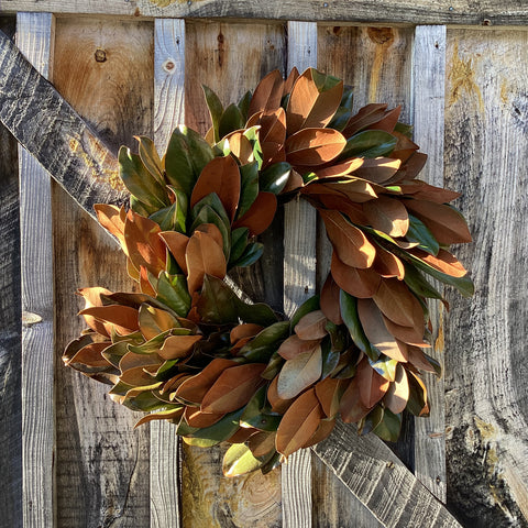 Magnolia Wreath