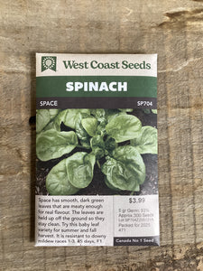 Spinach 'Space F1' Seeds - West Coast Seeds