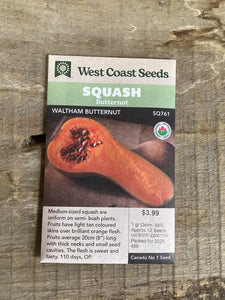 Squash 'Waltham Butternut' Seeds - West Coast Seeds