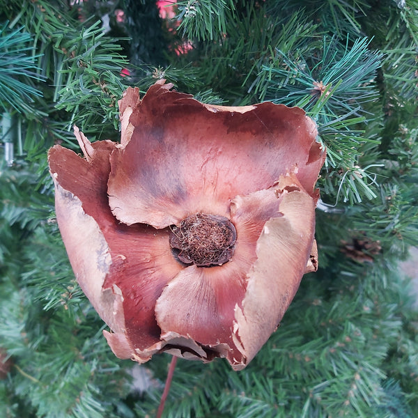 Palm Cap - single pick