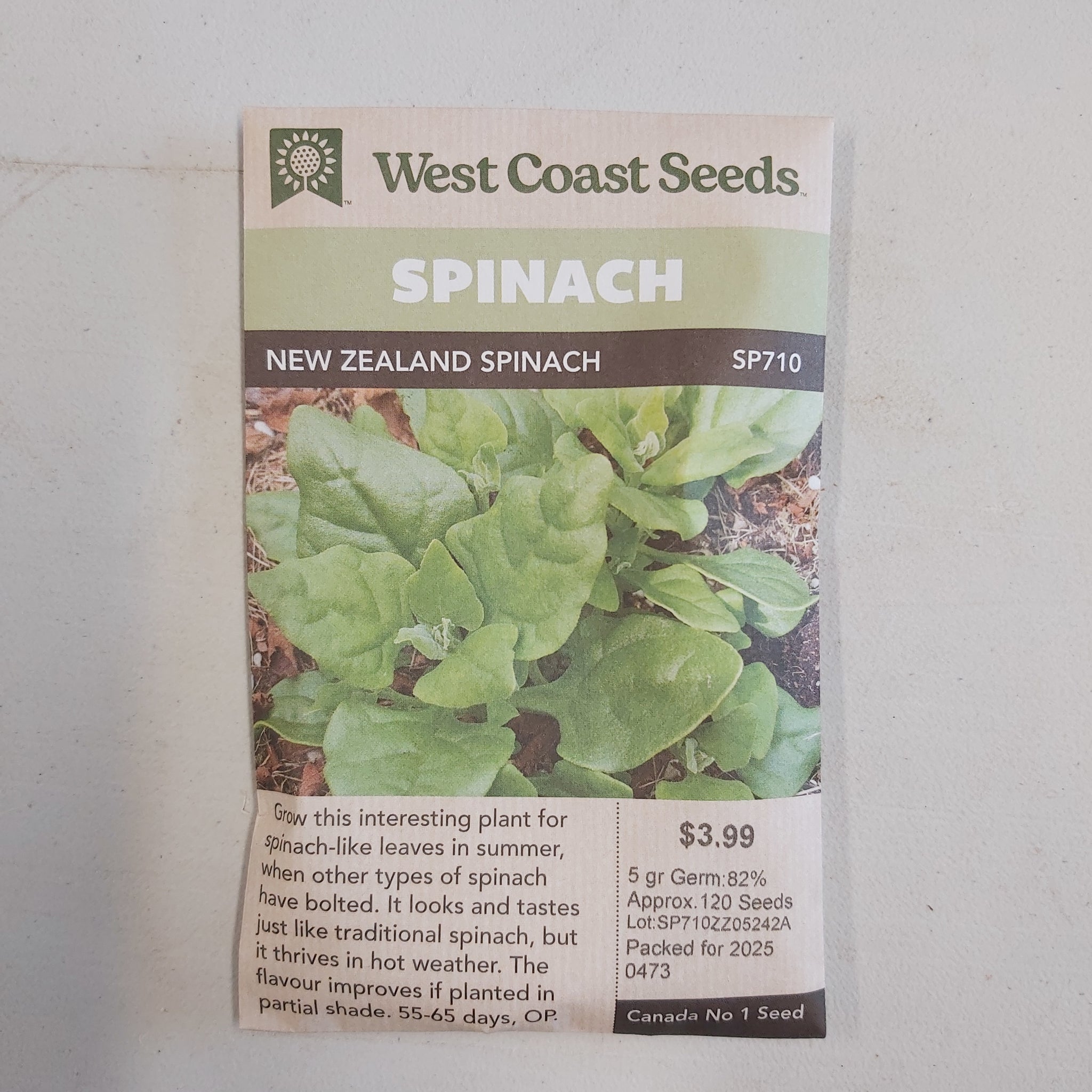 Spinach 'New Zealand Spinach' Seeds - West Coast Seeds