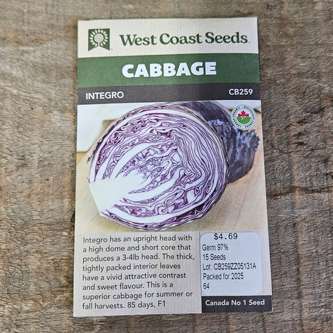 Cabbage 'Integro F1' (Coated) Certified Organic Seeds - West Coast Seeds