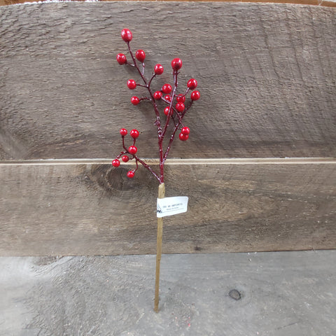 11" Pick 'Red Outdoor Berry'