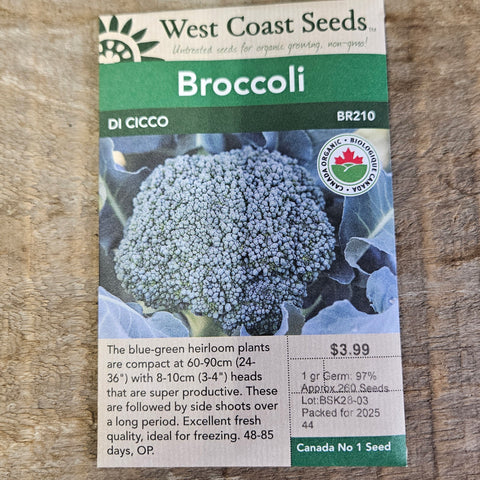 Broccoli 'Di Cicco'- West Coast Seeds