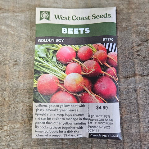 Beets 'Golden Boy'- West Coast Seeds