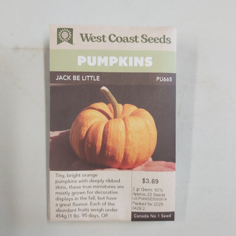 Pumpkin 'Jack Be Little' Seeds - West Coast Seeds