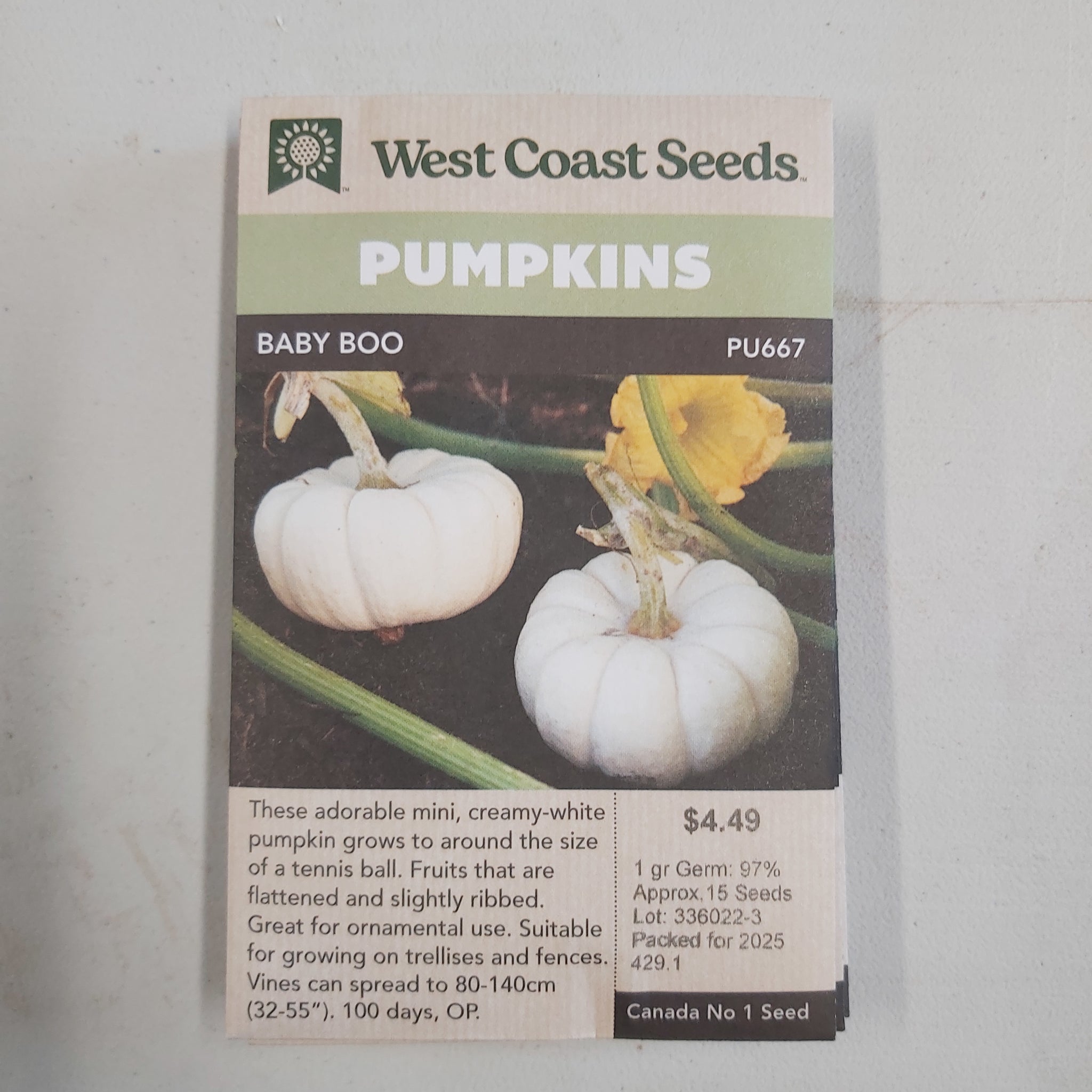 Pumpkin 'Baby Boo' Seeds - West Coast Seeds
