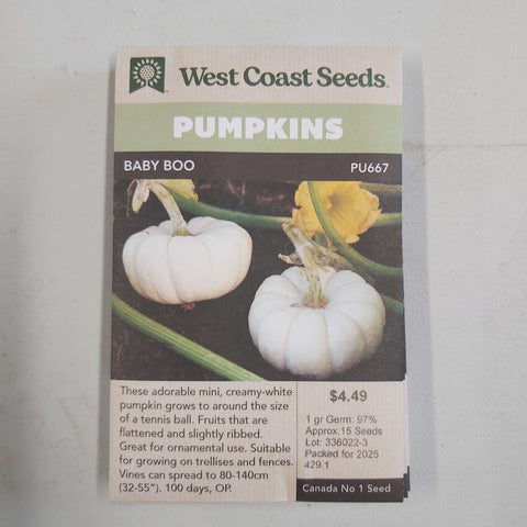 Pumpkin 'Baby Boo' Seeds - West Coast Seeds