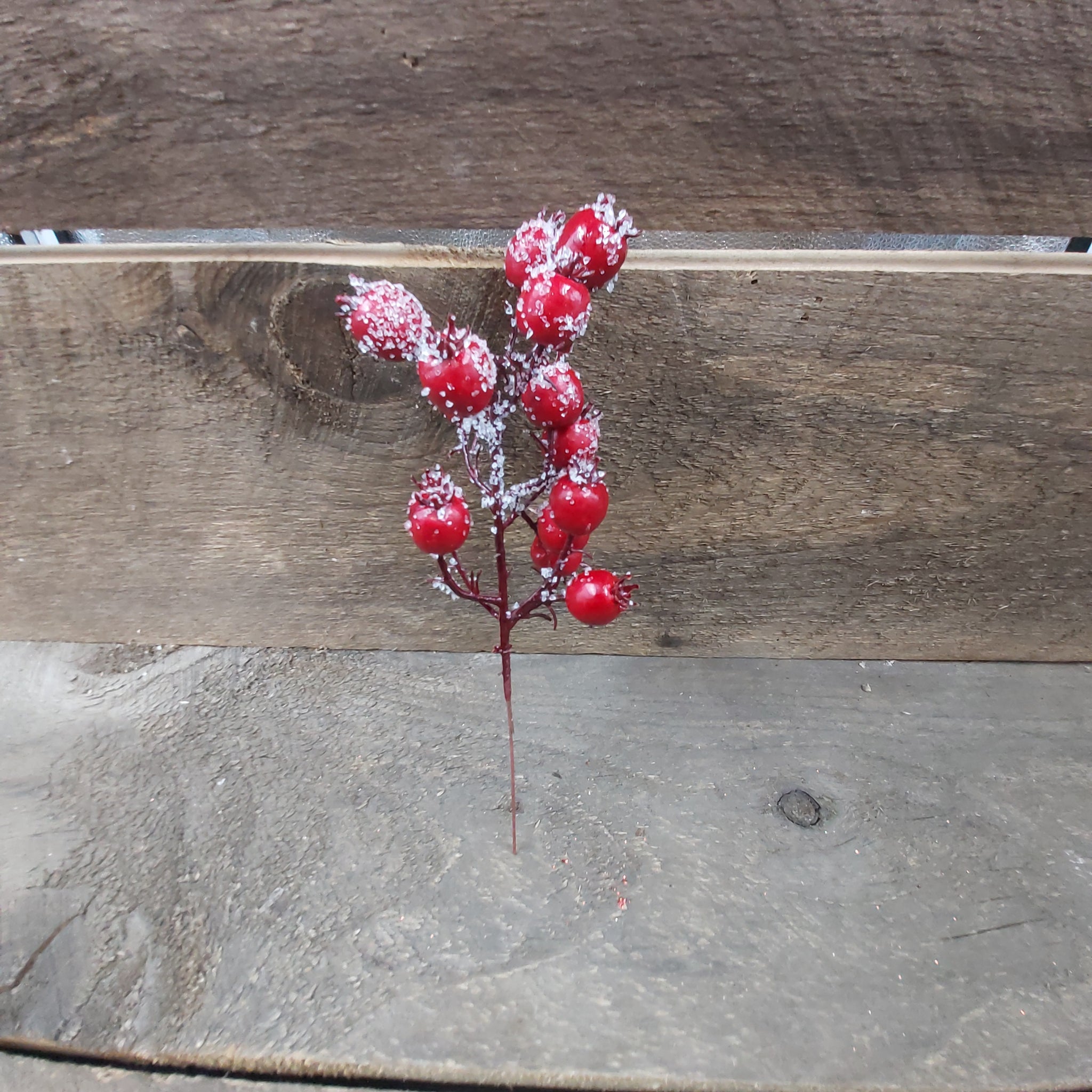 8" Pick 'Outdoor Red Iced Cranberry'