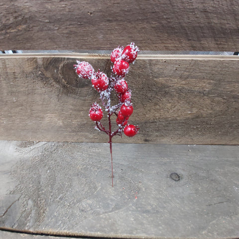 8" Pick 'Outdoor Red Iced Cranberry'