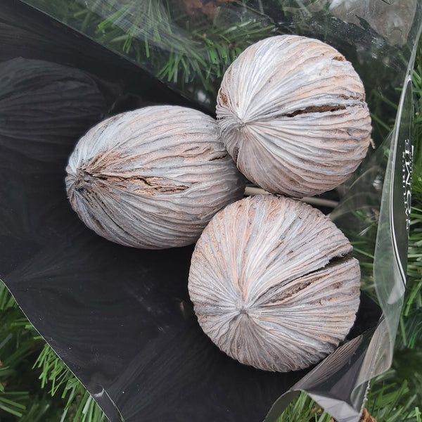 Mintolla Balls white wash picks - 3 pack