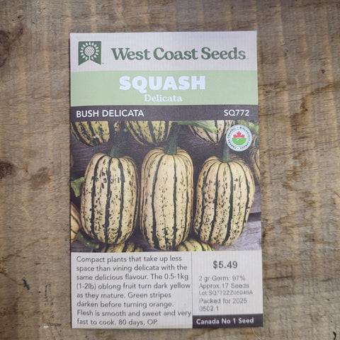 Squash Delicata 'Bush Delicata' - West Coast Seeds