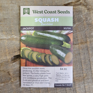 Squash 'Jackpot F1' Seeds - West Coast Seeds