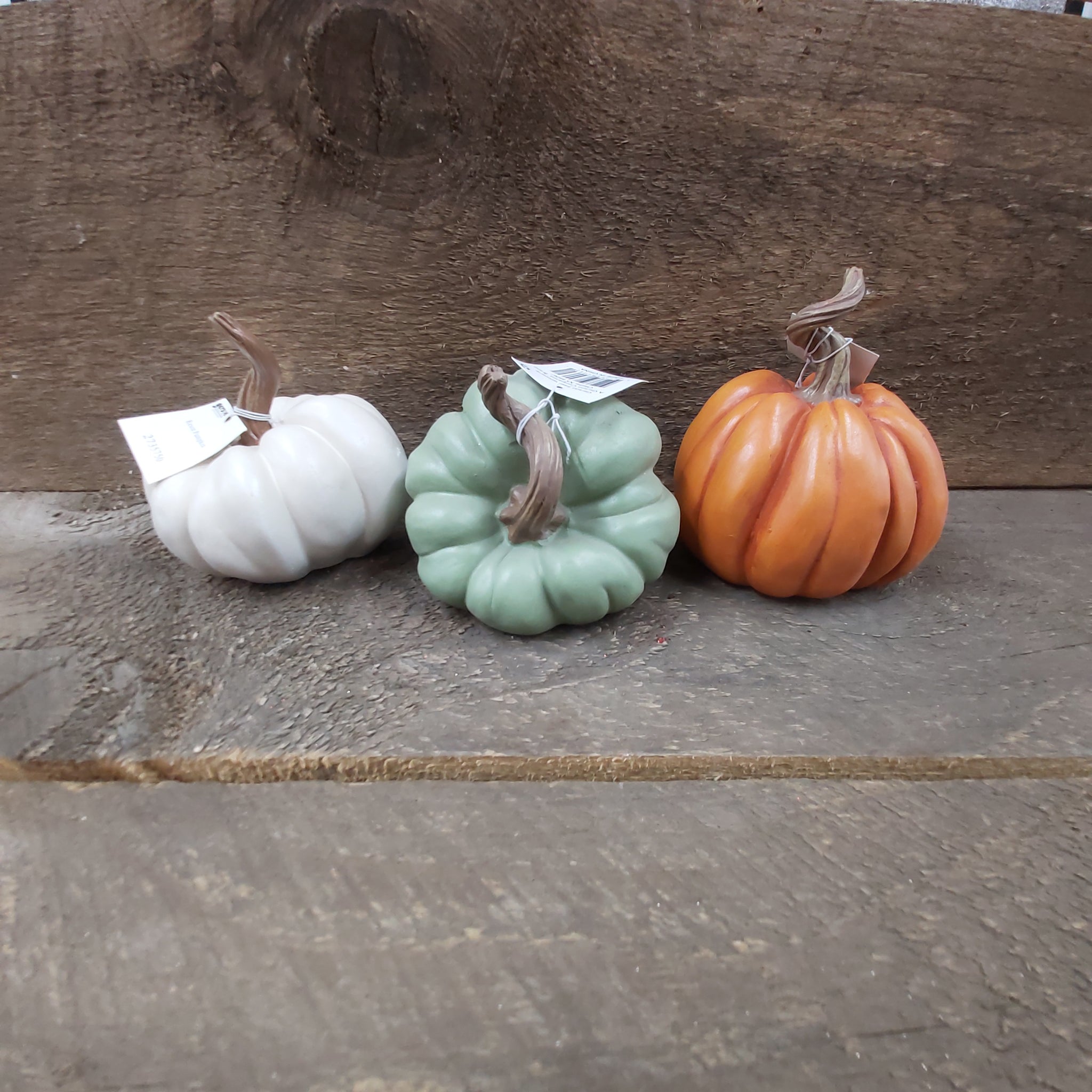 4.33" Pumpkin 'Resin Harvest 3 Assorted'