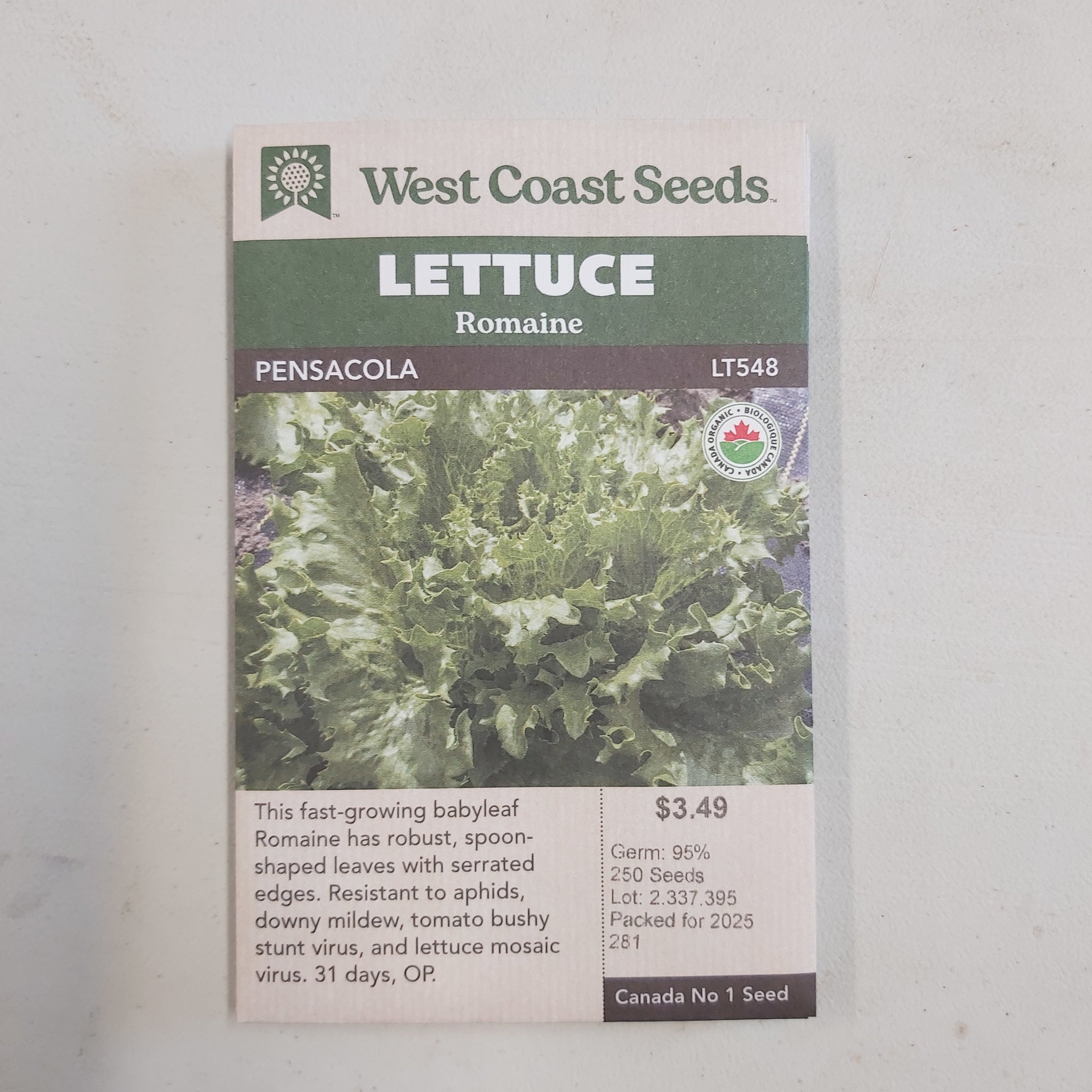 Romaine Lettuce 'Pensacola' Seeds - West Coast Seeds